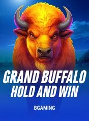 grand buffalo